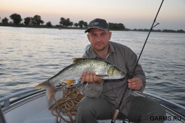 Рыбалка на Нижней Волге август 2010 г.