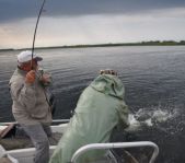 Рыбалка на Нижней Волге август 2011г.