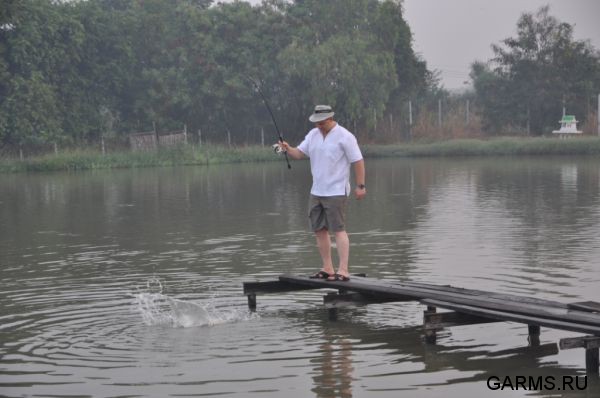 Ловля змееголова.Озеро Пилот.Таиланд январь 2012 г.