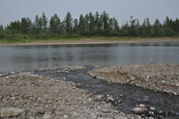 Река Ерачимо июль 2013 г. (Красноярский край)