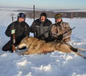 Охота на волка декабрь 2010 г. (Челябинская область)