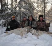 Охота на волка январь 2011 г. (Челябинская область)