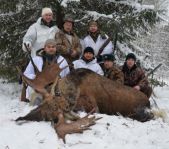 Загонная охота на лося ноябрь 2011 г.(Челябинская область)