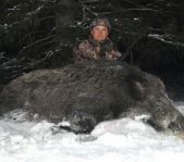 Охота на кабана и козла ноябрь 2012 г.(Челябинская область)