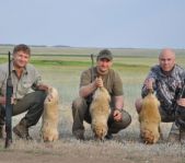 Охота на сурка июль 2013 г.(Челябинская область)