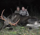 Охота на лося сентябрь 2013 г.(Челябинская область)