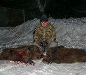 Охота на кабана январь 2015 г.(Челябинская область)
