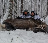 Охота на лося декабрь 2016 г. (Челябинская область)