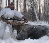 Охота на лося декабрь 2016 г. (Челябинская область)