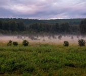 Охота на лося и кабана сентябрь-октябрь 2017 г. (Свердловская область)