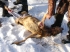 В Волгоградской области задержаны браконьеры