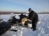 Волчья охота в Новгородской области превзошла ожидания участников