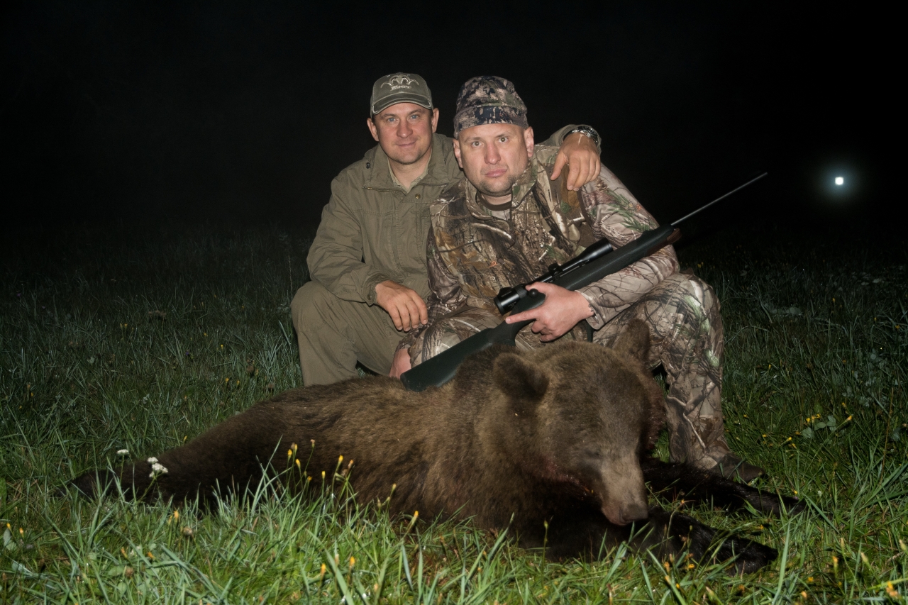 Охота на медведя видео 2023. Охота на овсах на медведя 2020. Охота на овсах на медведя Вологодской области. Охота на медведя в Хакасии.