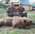 Охота на медведя и кабана в Челябинской области
